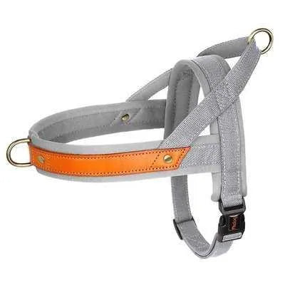 Royal Canine Charm Nylon Dog Collar Harness Leash Set