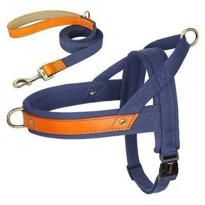 Royal Canine Charm Nylon Dog Collar Harness Leash Set