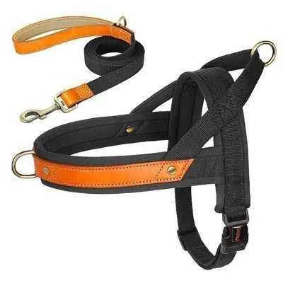 Royal Canine Charm Nylon Dog Collar Harness Leash Set