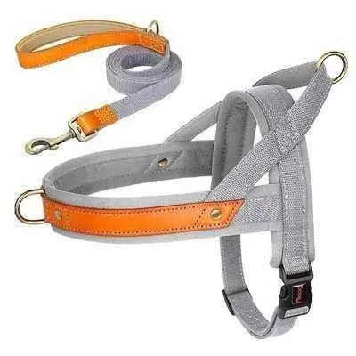 Royal Canine Charm Nylon Dog Collar Harness Leash Set