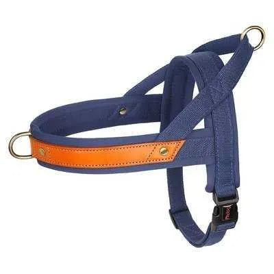 Royal Canine Charm Nylon Dog Collar Harness Leash Set