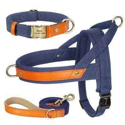 Royal Canine Charm Nylon Dog Collar Harness Leash Set