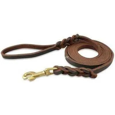 Royal Paws Genuine Leather Braided Long Dog Leash in Brown & Black for Medium to Large Pets