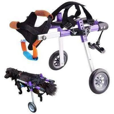 Regal Canine - Adjustable Purple Dog Wheelchair for Hind Leg Rehabilitation XS S