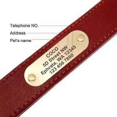 Royal Canine Elegance Personalised Dog Collar & Leash Set