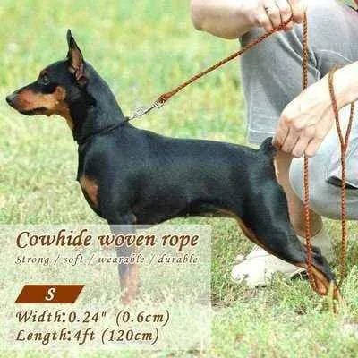 Premium Rolled Leather Dog Leash for Small to Medium Dogs - Brown