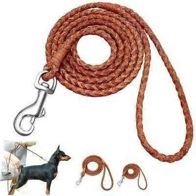 Premium Rolled Leather Dog Leash for Small to Medium Dogs - Brown